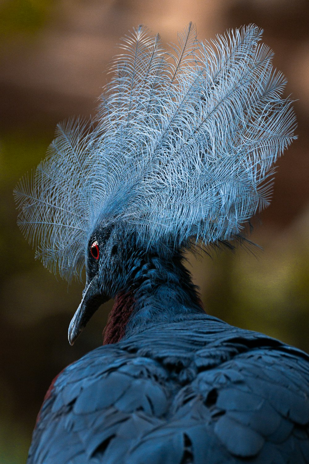 a close up of a blue bird with feathers on it's head