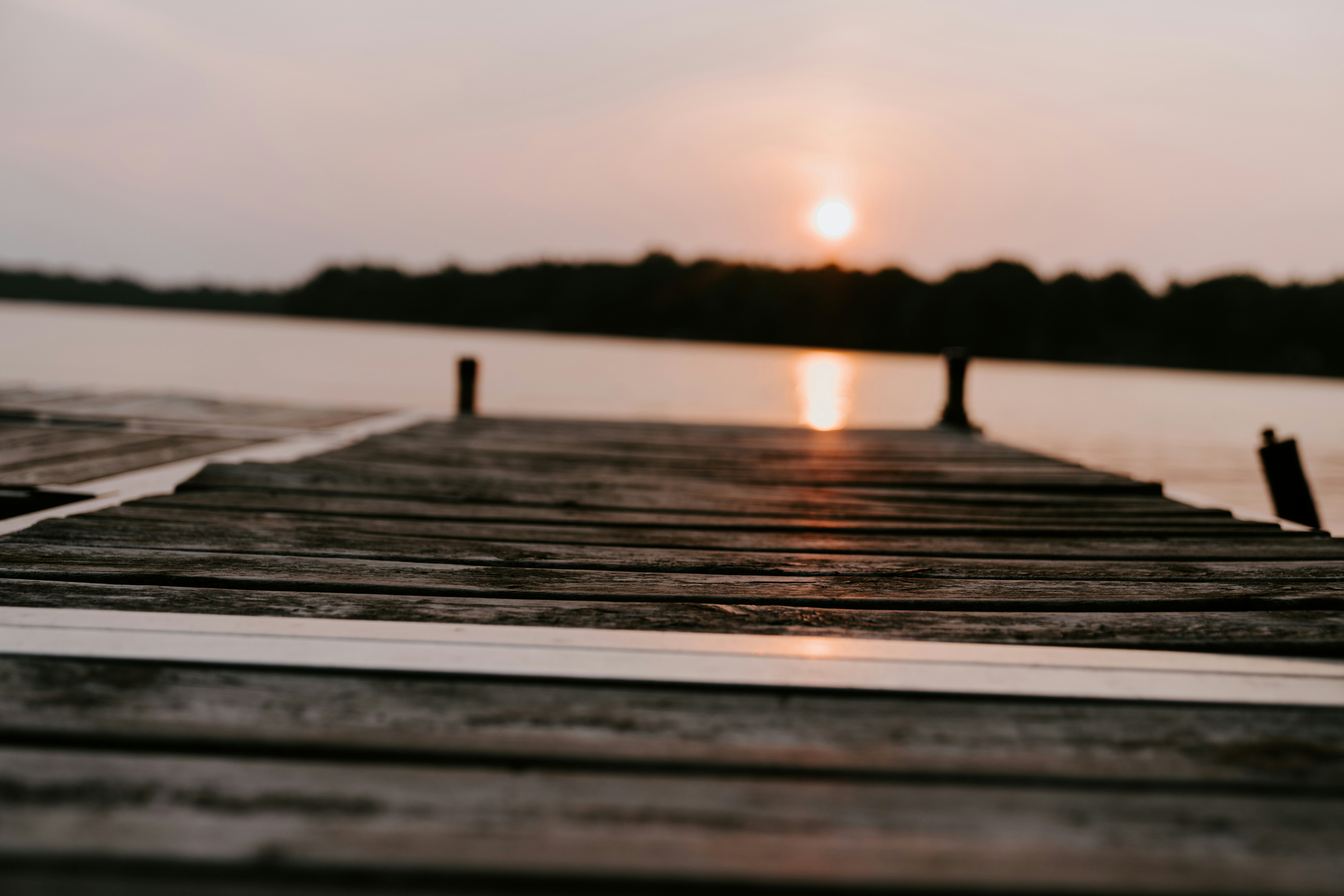 Photo by kellysikkema