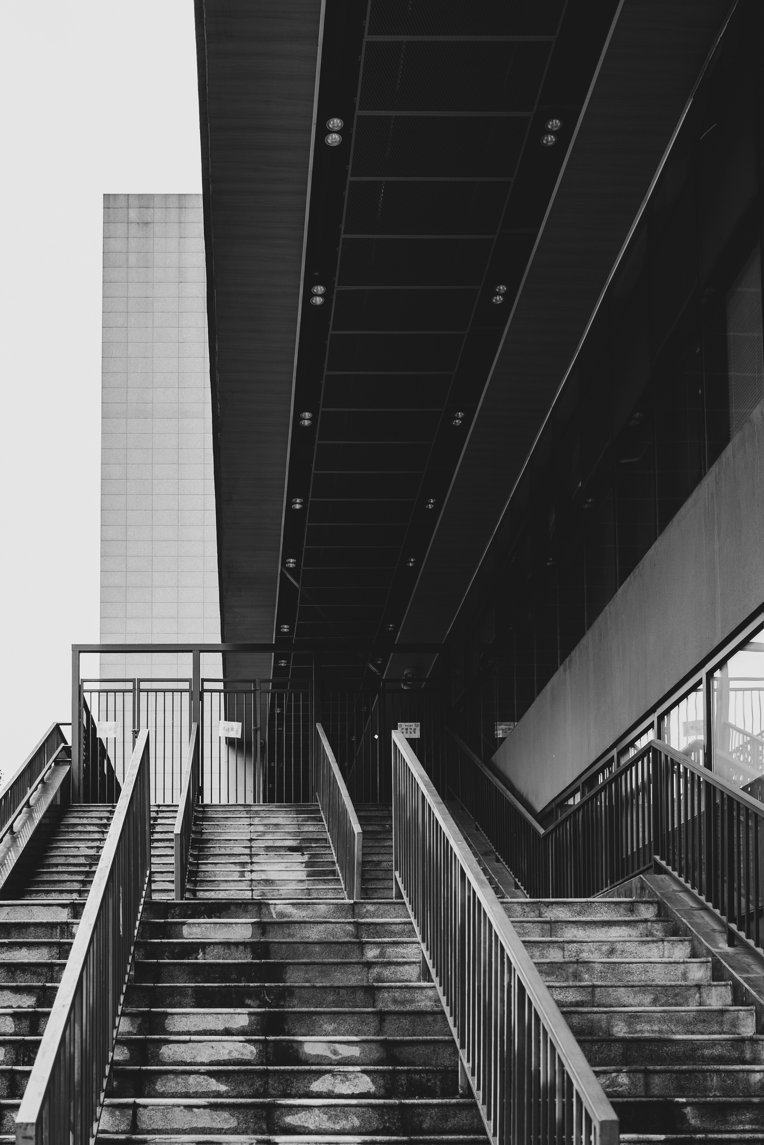 Photo by xingchenyan