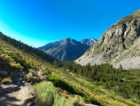 A scenic landscape featuring a hiking trail winding through a green valley with abundant vegetation. Majestic mountains with rocky cliffs and snow-capped peaks rise in the background under a clear blue sky. A lone hiker is visible on the trail, emphasizing the scale of the natural surroundings.