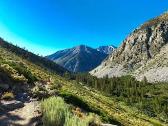 A scenic landscape featuring a hiking trail winding through a green valley with abundant vegetation. Majestic mountains with rocky cliffs and snow-capped peaks rise in the background under a clear blue sky. A lone hiker is visible on the trail, emphasizing the scale of the natural surroundings.