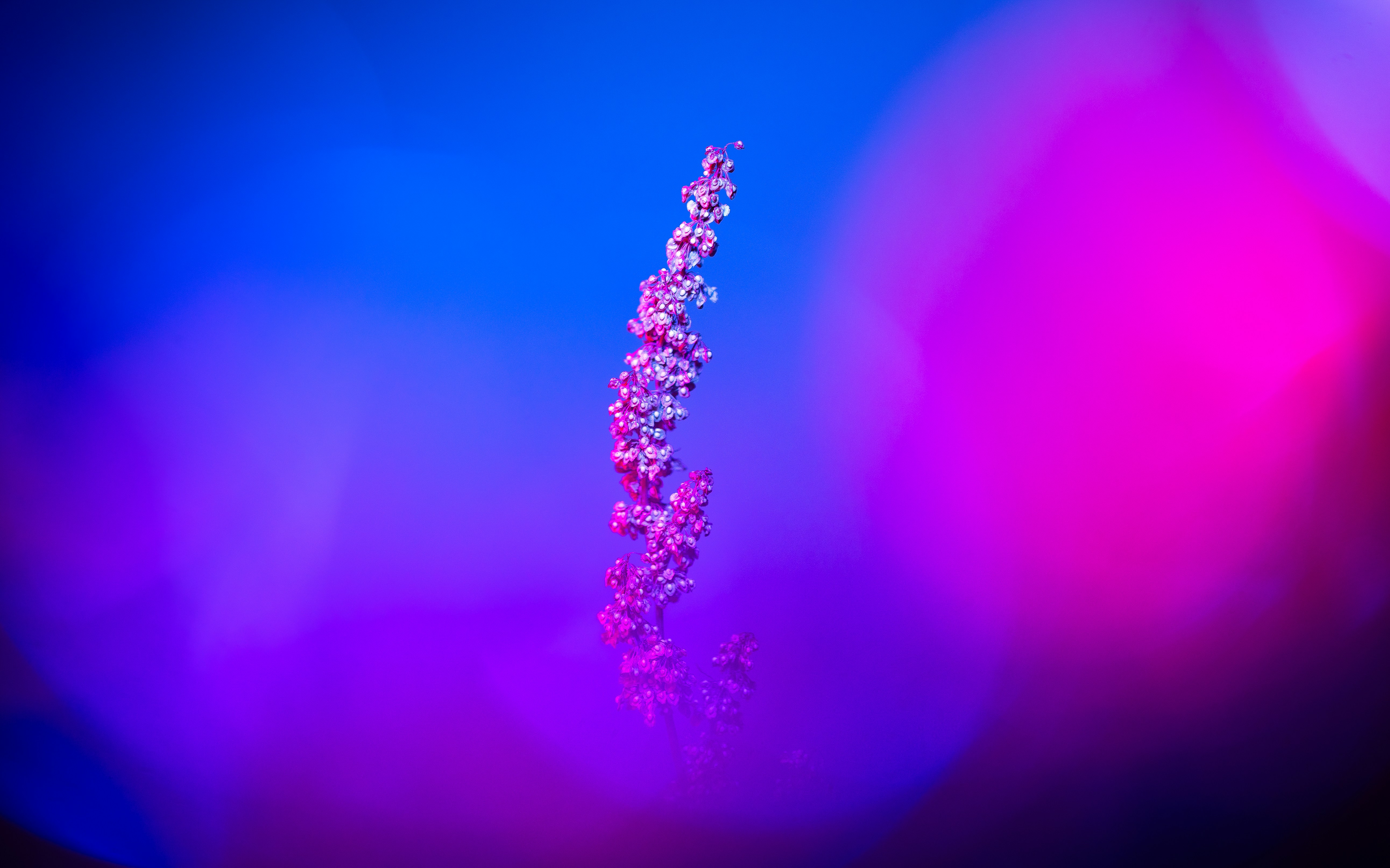 Photo by marekpiwnicki