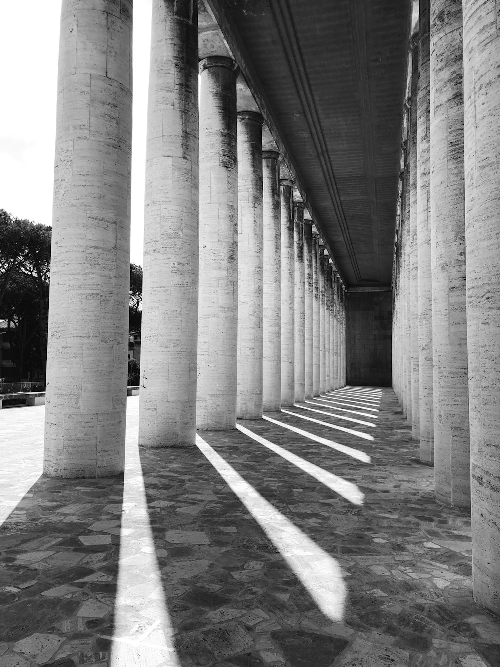 a black and white photo of columns and a bridge