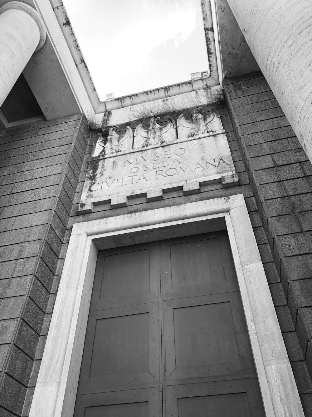 a black and white photo of a door and windows