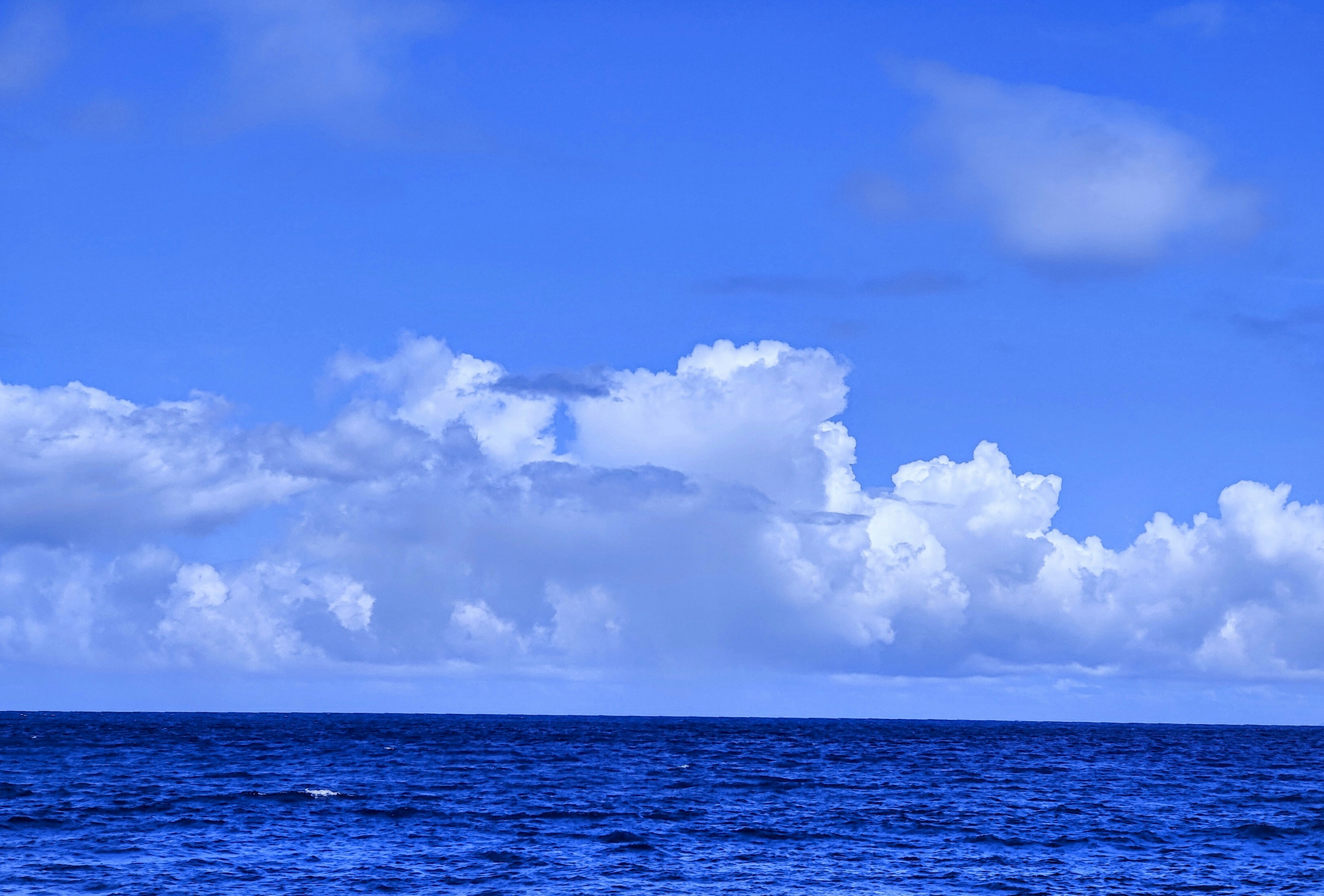 Photo by madmartigand