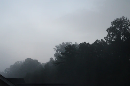 Fog rolling over dark Everglades marshes at dusk with silhouetted cypress trees.