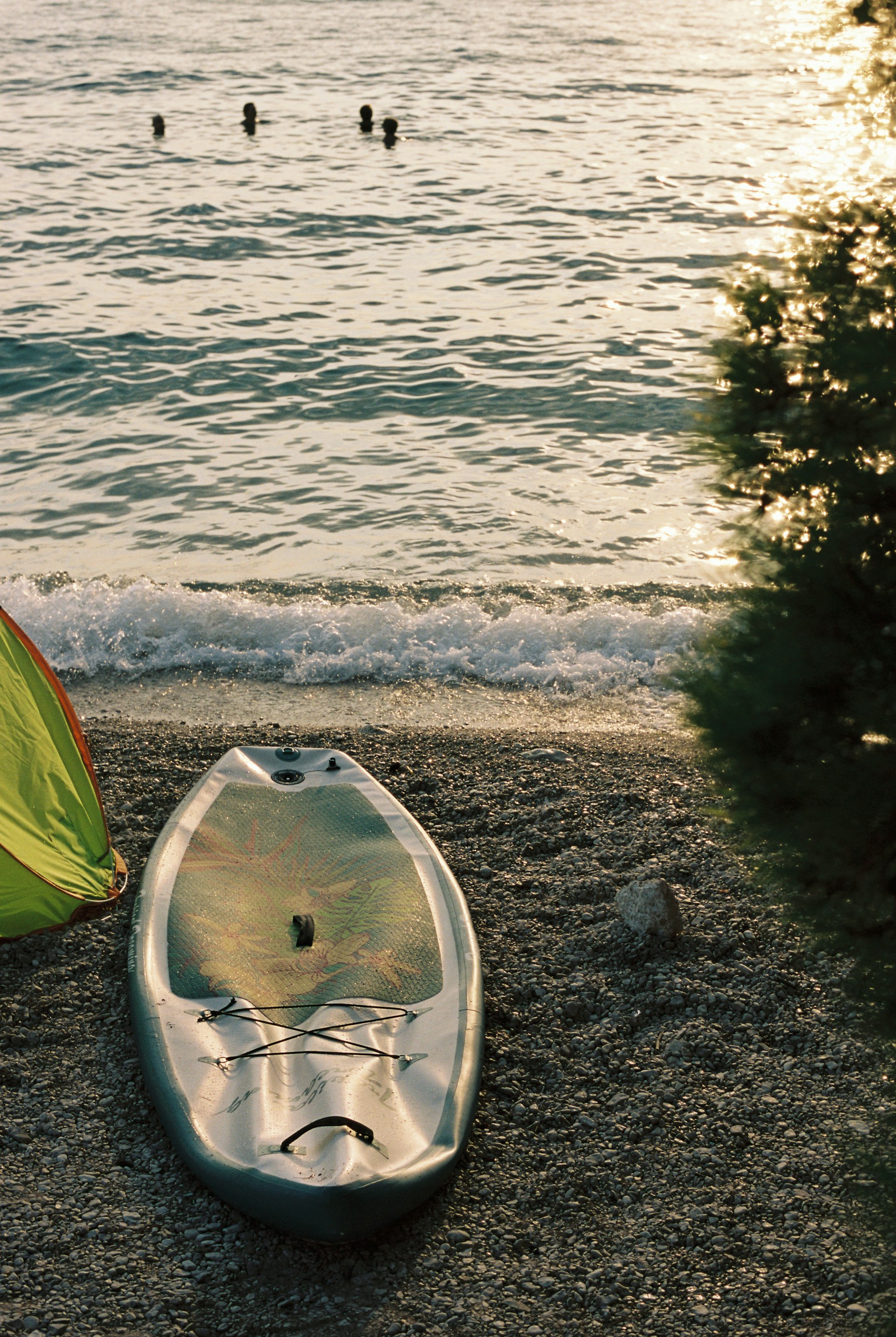 A stand-up paddleboard rests on a pebbly beach, with gentle waves lapping the shore. In the distance, three swimmers are visible in the water as the sun sets, casting a warm golden hue over the scene. A green tent is partially visible on the left side, and there's a bush with glistening leaves on the right.