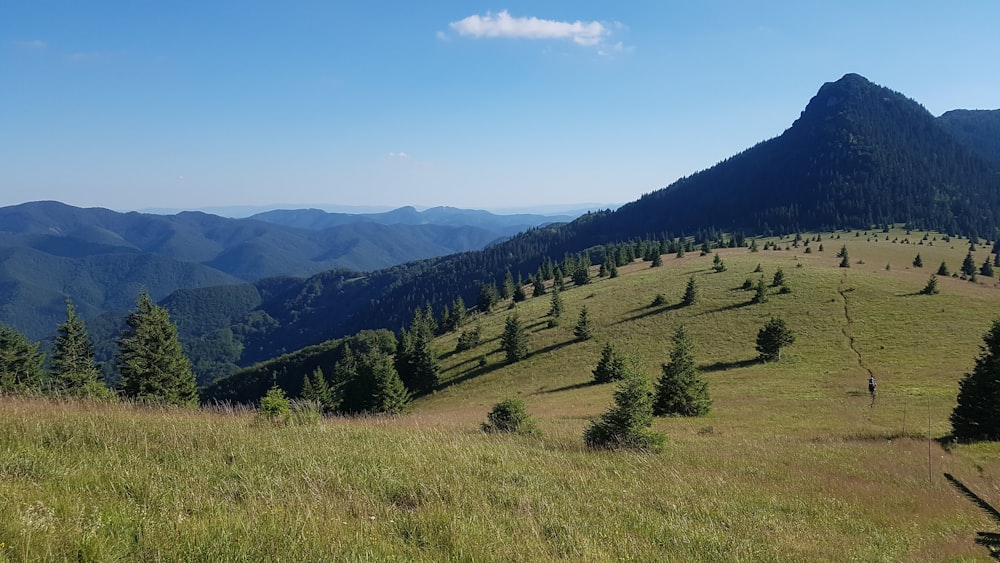 a view of a grassy hill with trees and mountains in the background