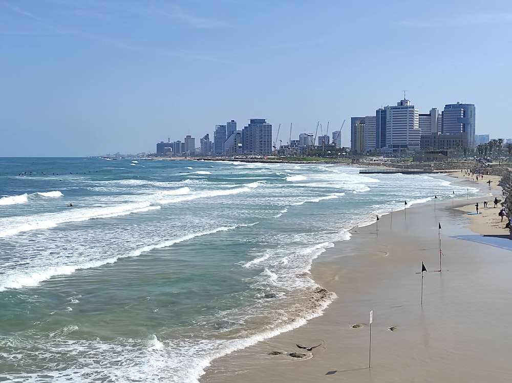 a view of a beach with a city in the background