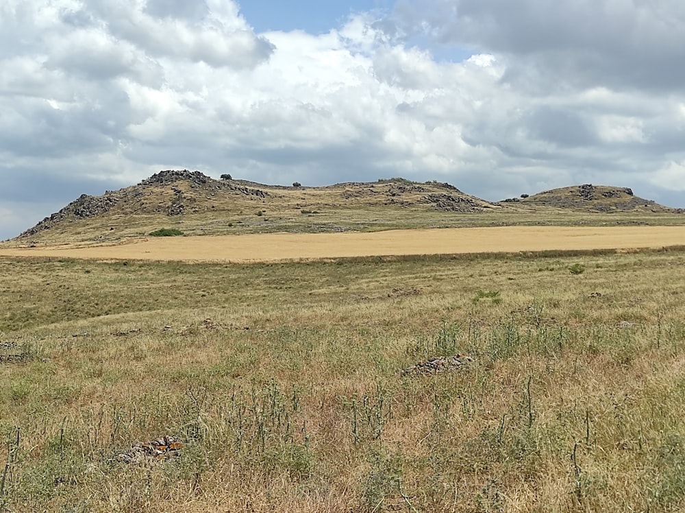 Un campo cubierto de hierba con una colina al fondo