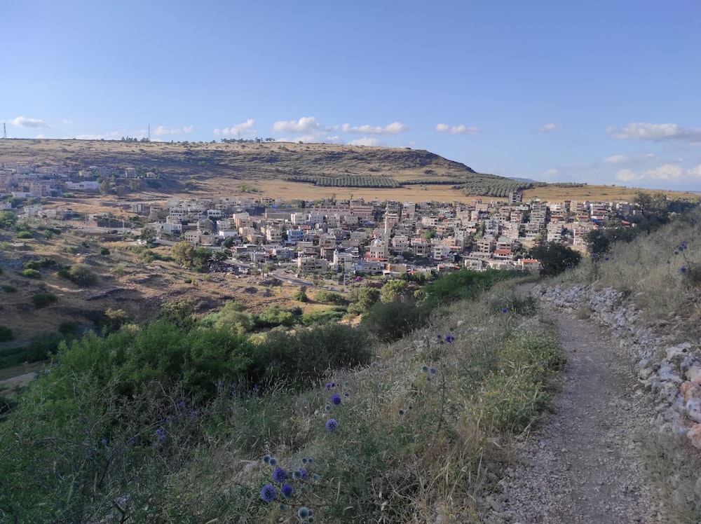 a view of a city from the top of a hill