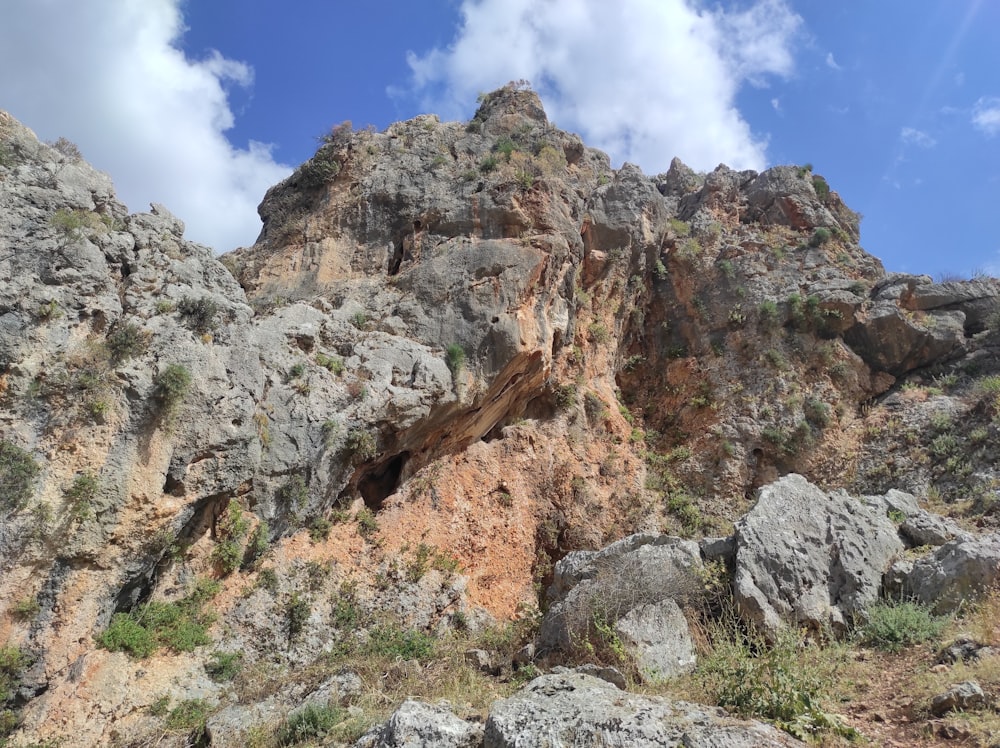 a rocky mountain with a small patch of vegetation growing on it