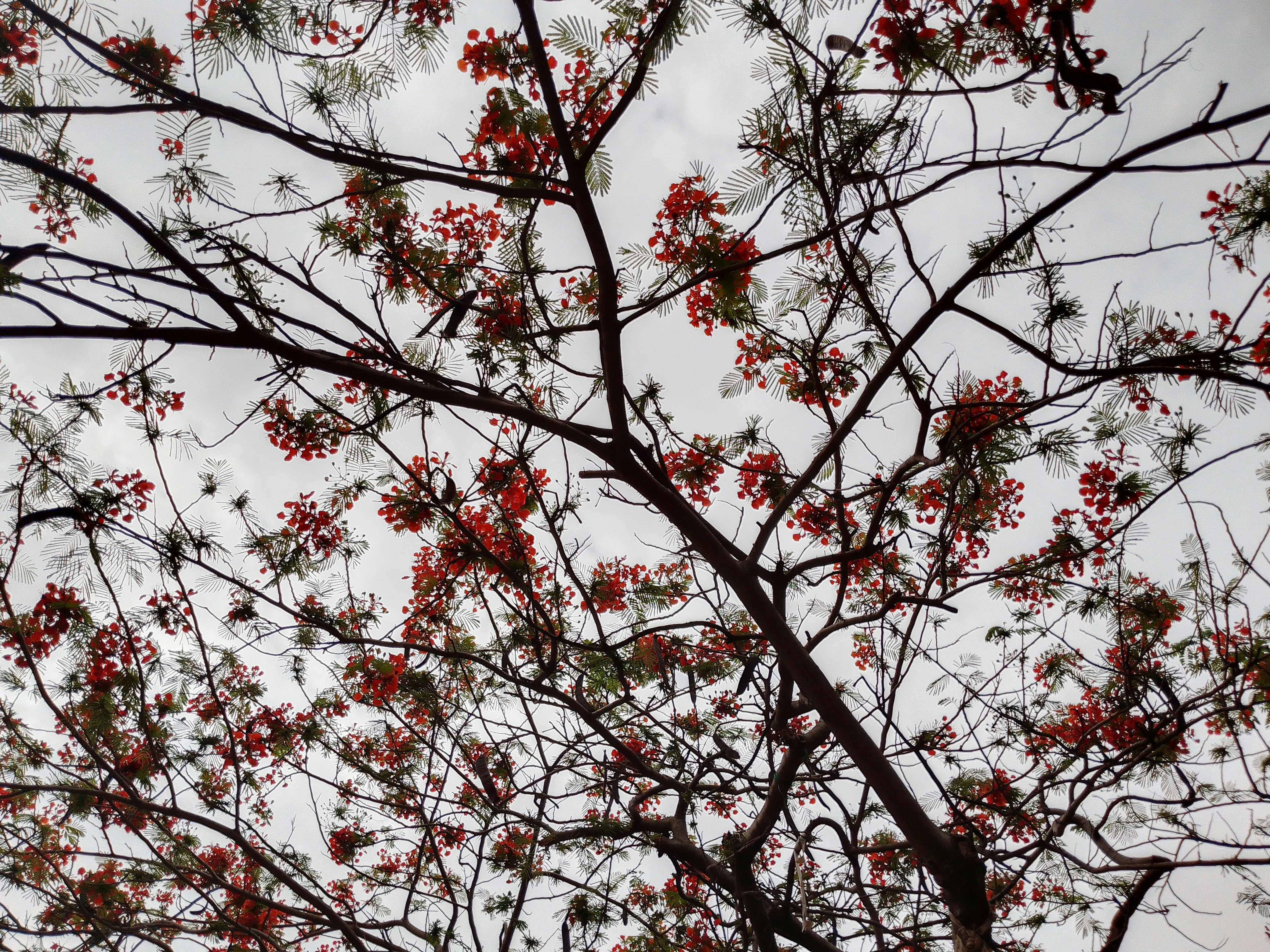 Photo by feyisekemicraft29_