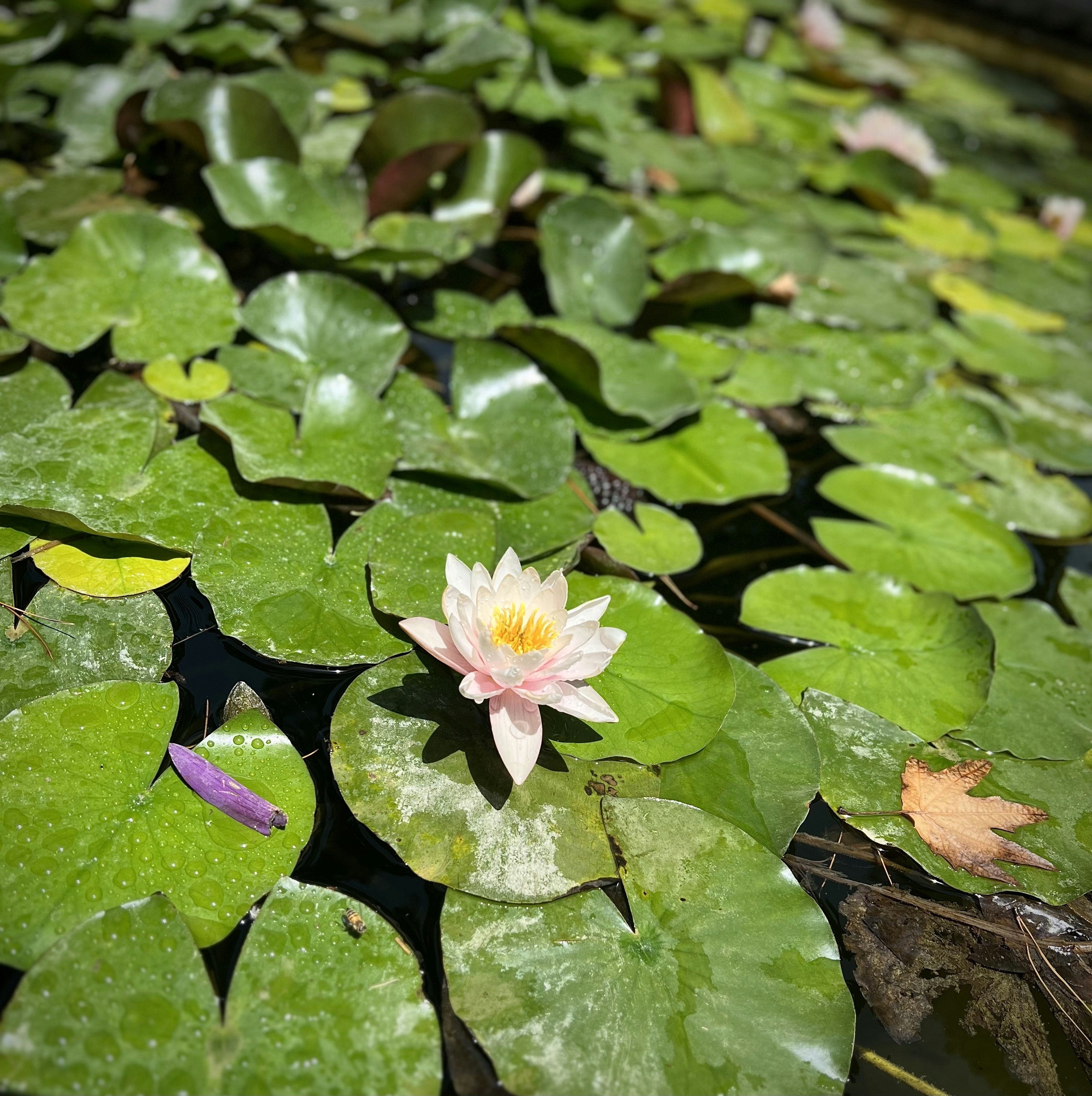 Photo by nghelichkhan