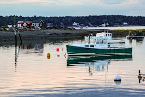 Crab Trap