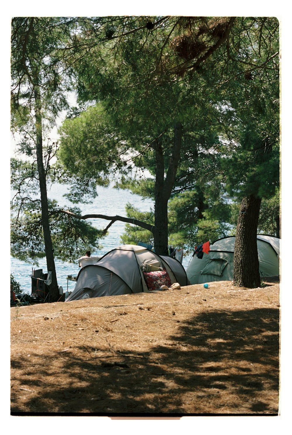 Un groupe de tentes dressées à côté d’arbres
