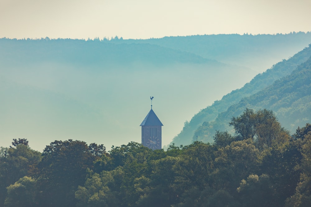 a church tower in the middle of a forest