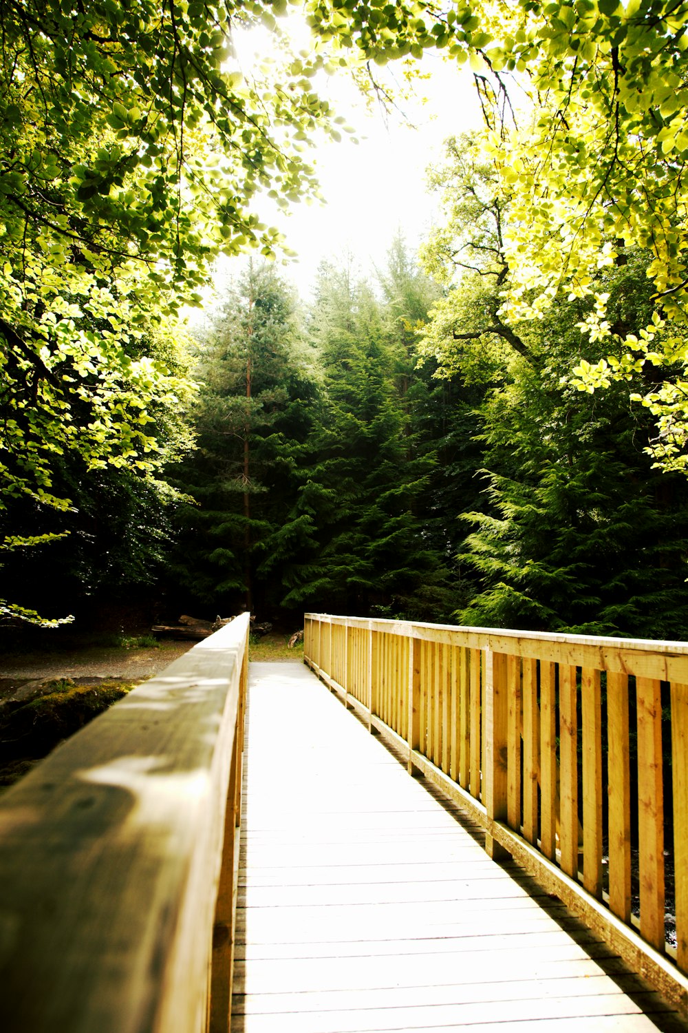 a wooden bridge over a river surrounded by trees