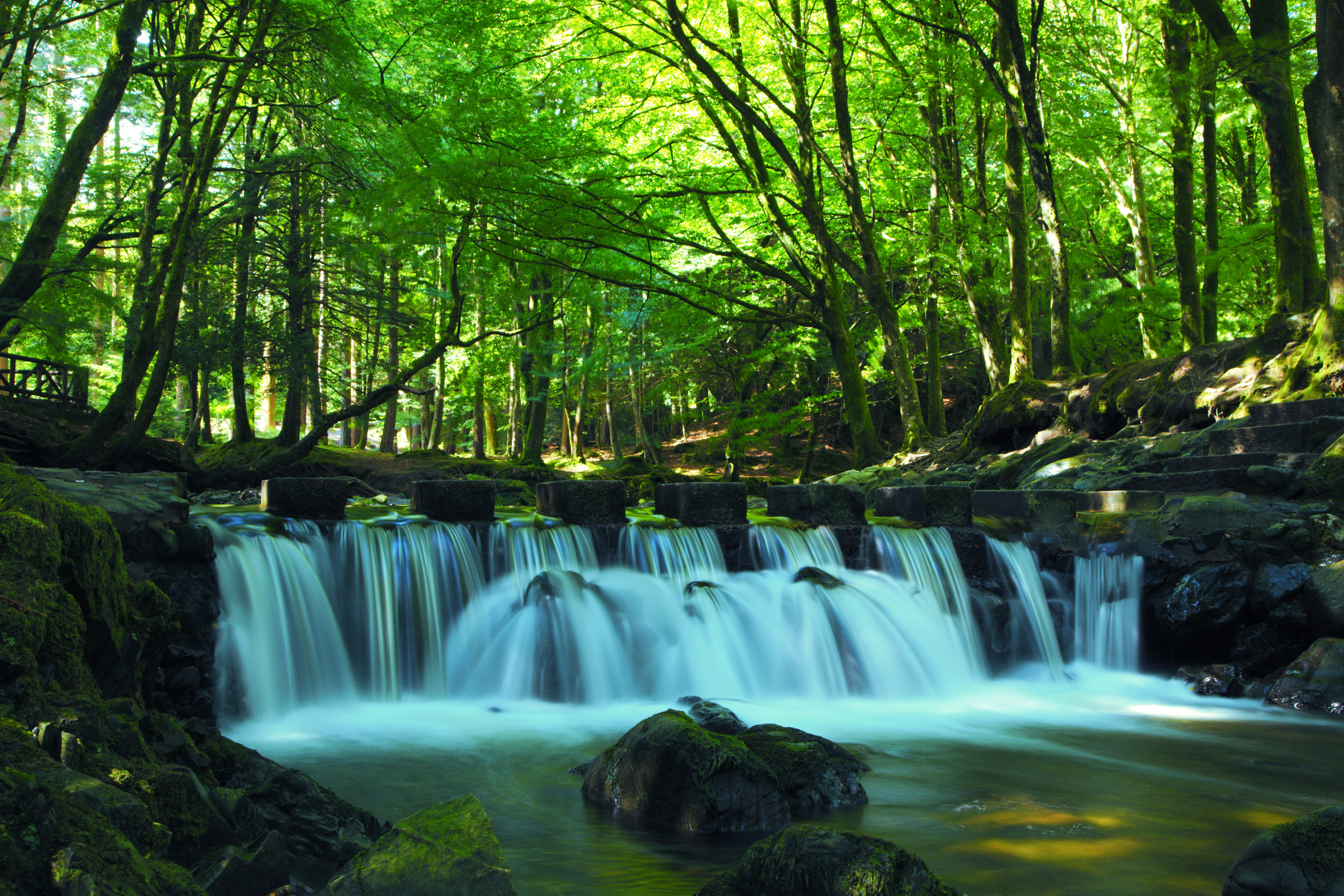 a small waterfall in the middle of a forest