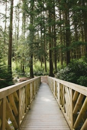 a wooden bridge in the middle of a forest