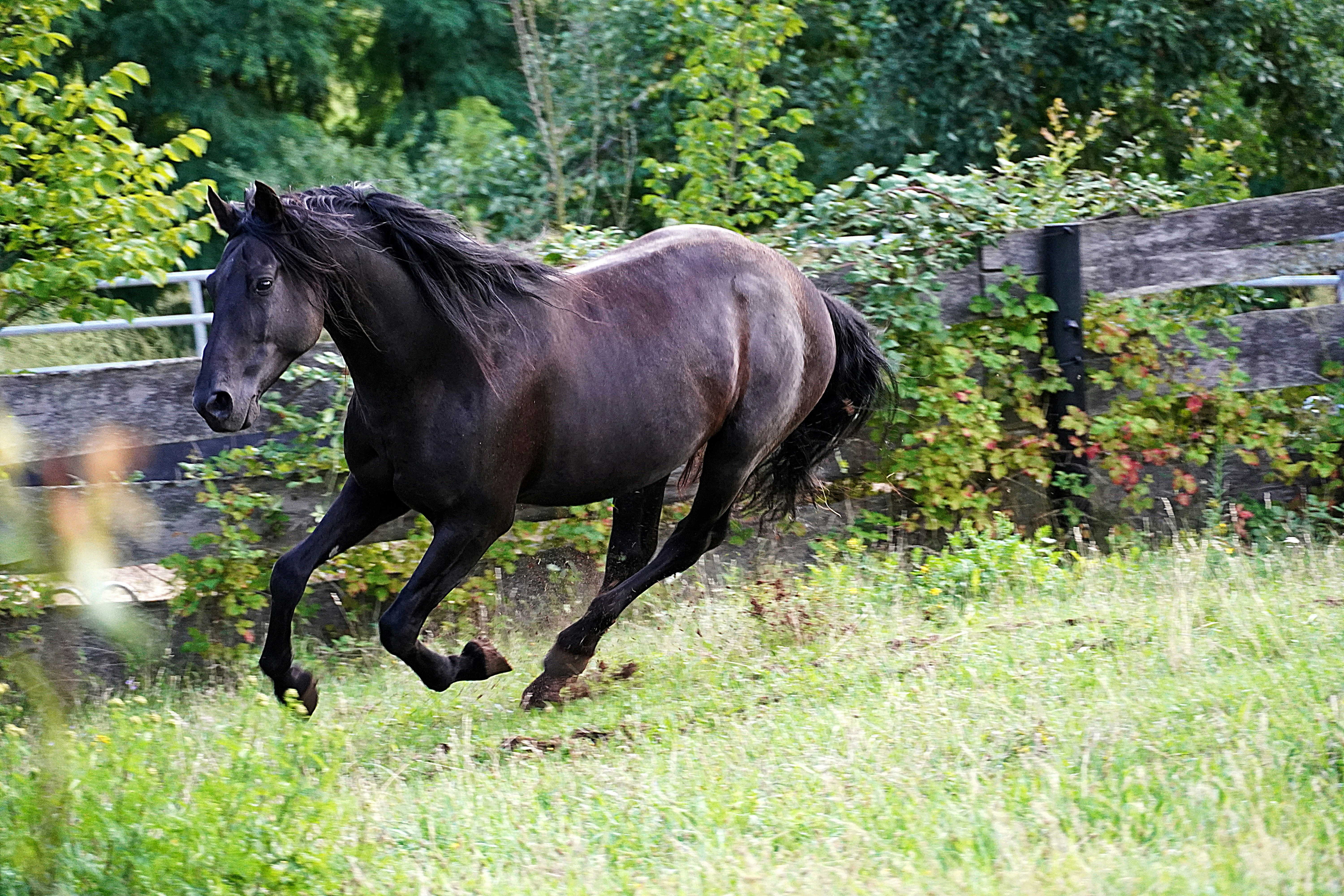 From Calm Browsers to Panic-Prone Sprinters (image credits: unsplash)