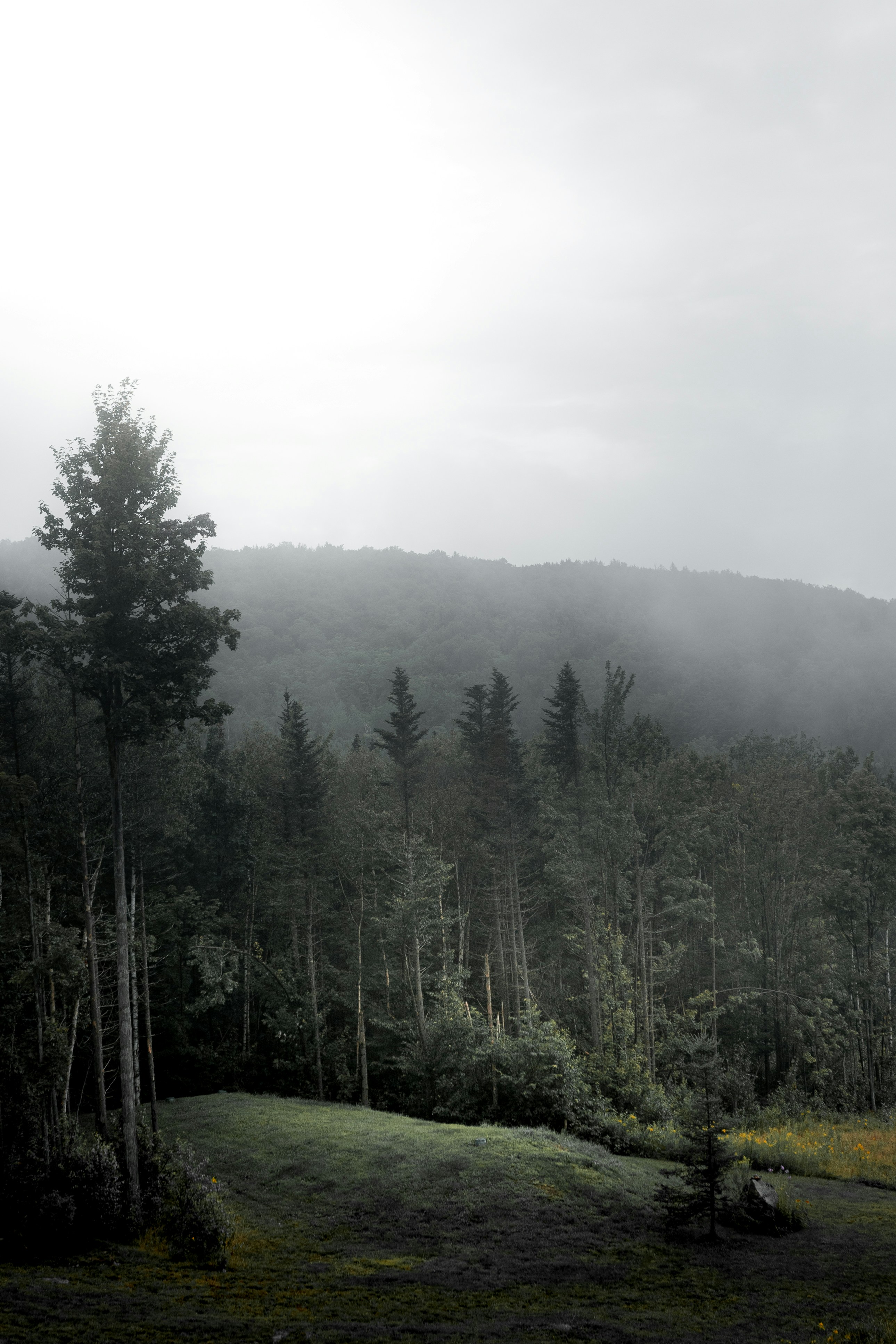Photo by kevinwiegand