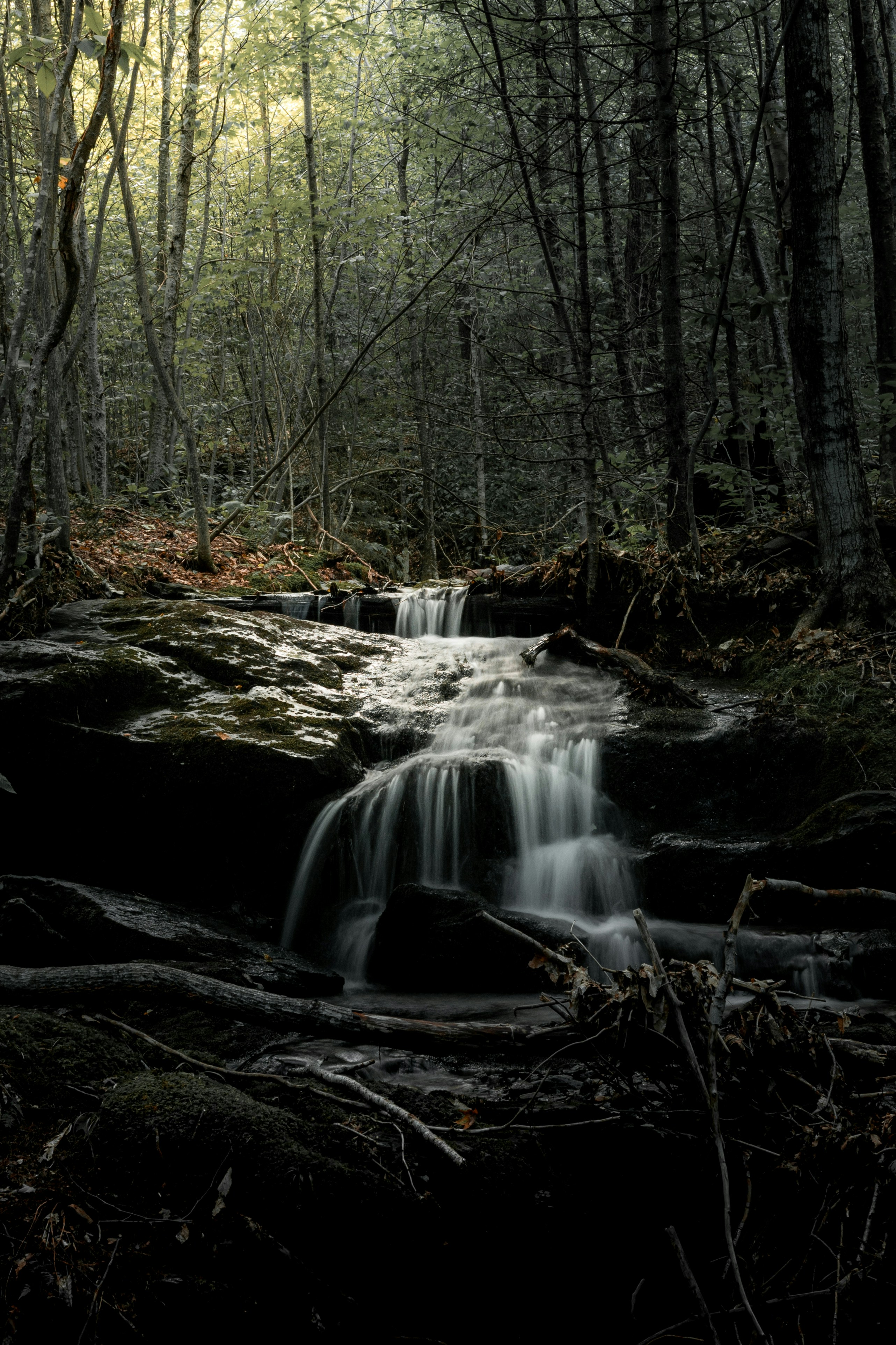 Photo by kevinwiegand