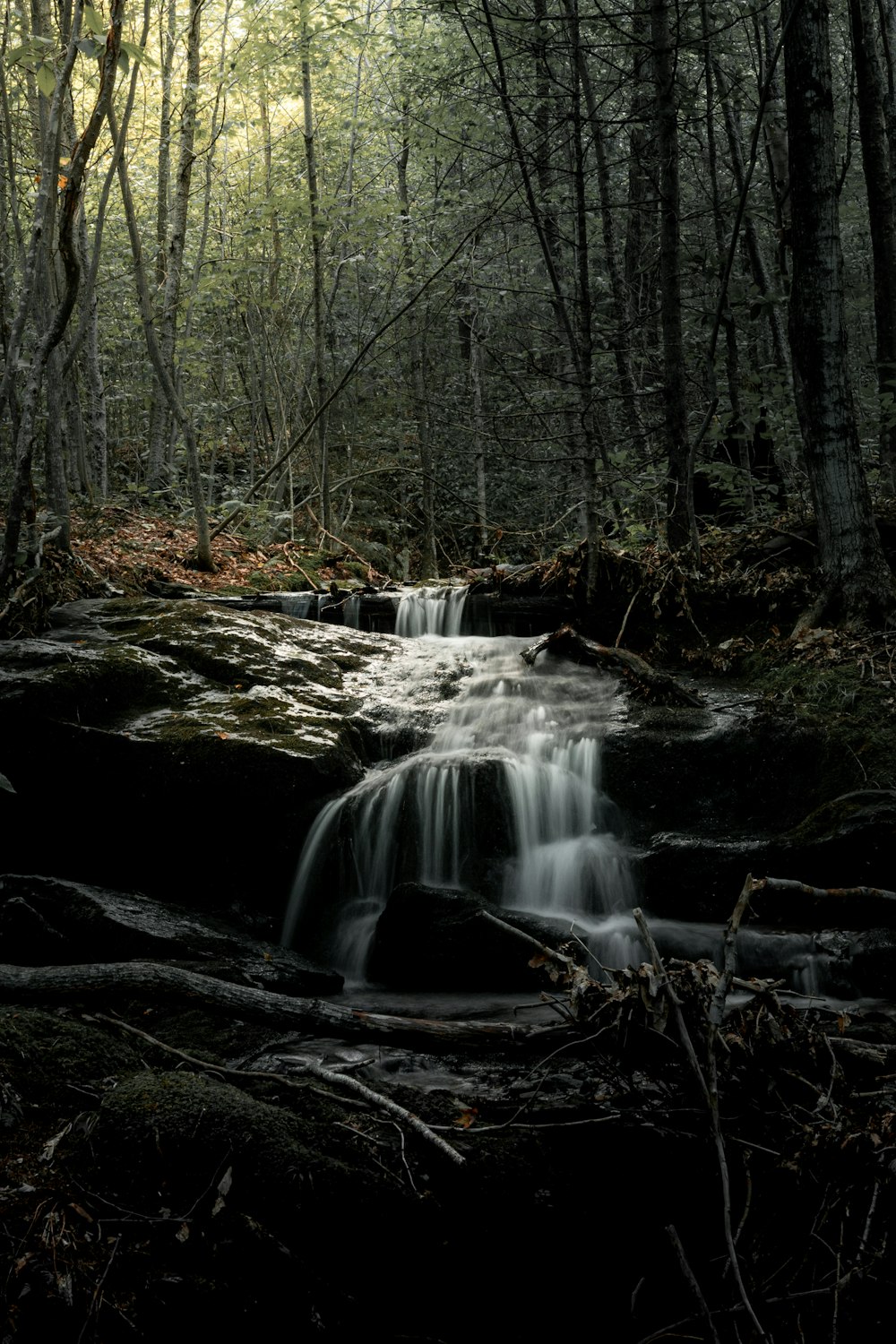 a small waterfall in the middle of a forest