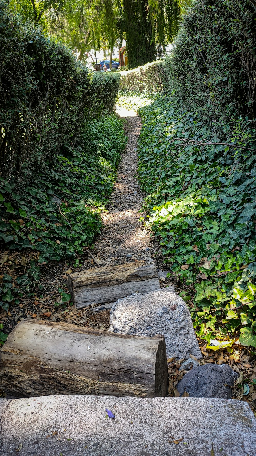 a path made of logs in the middle of a forest