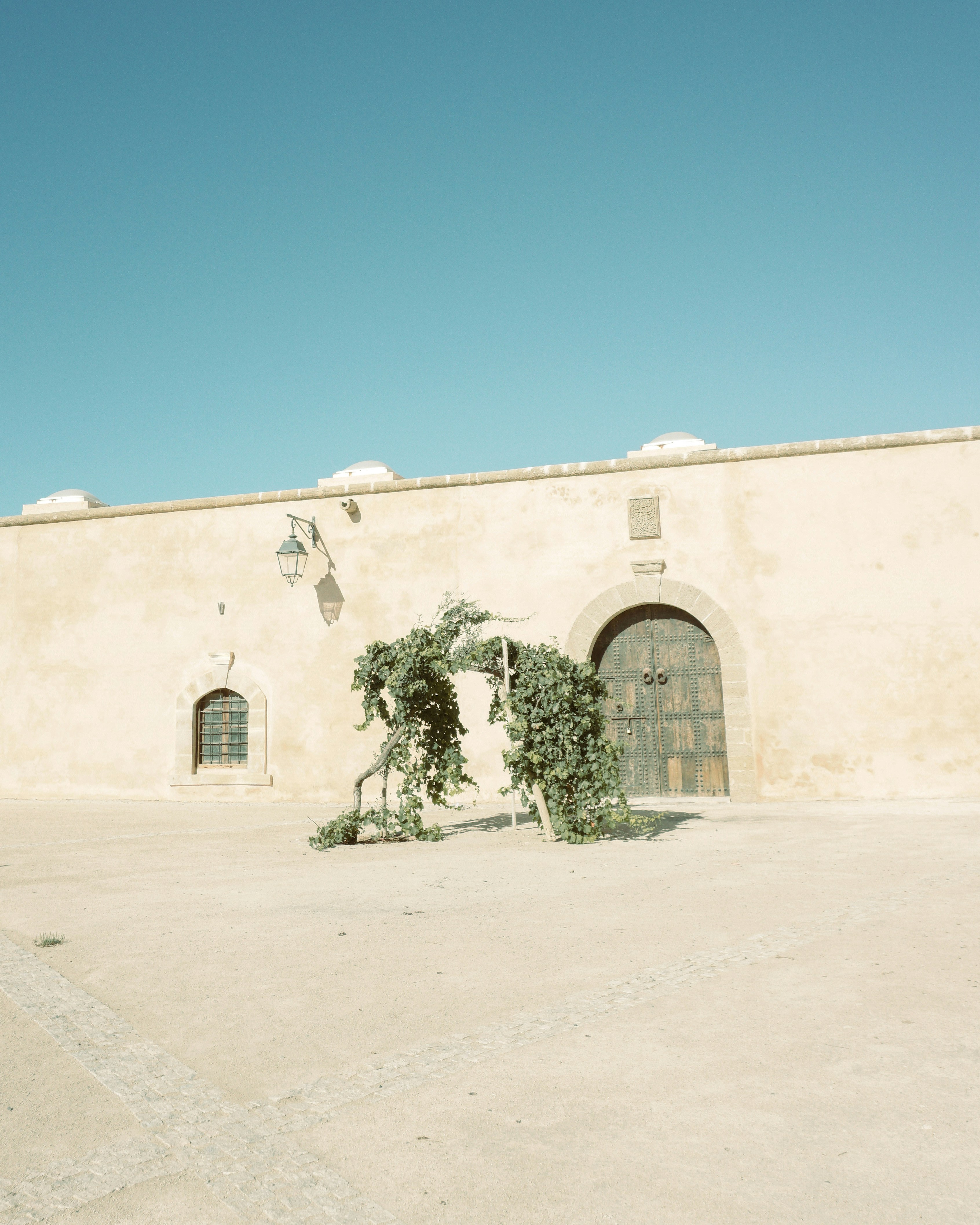 Photo by younousvisuals