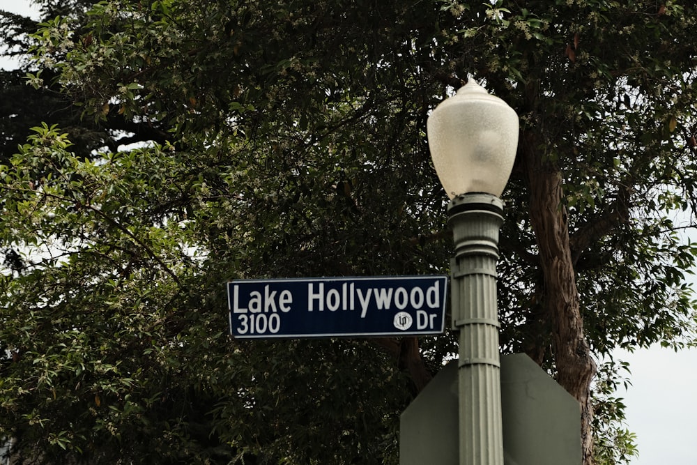 a street sign on a lamp post in front of a tree