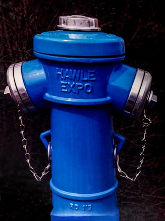 A blue fire hydrant with the words 'HAWLE EXPO' embossed on its upper section. The hydrant features metallic caps on either side connected by chains and a circular cover on top. The background shows a dark, blurred setting, suggesting an outdoor environment.