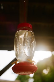 A charming solar-powered bird feeder glowing softly at dusk in a garden.