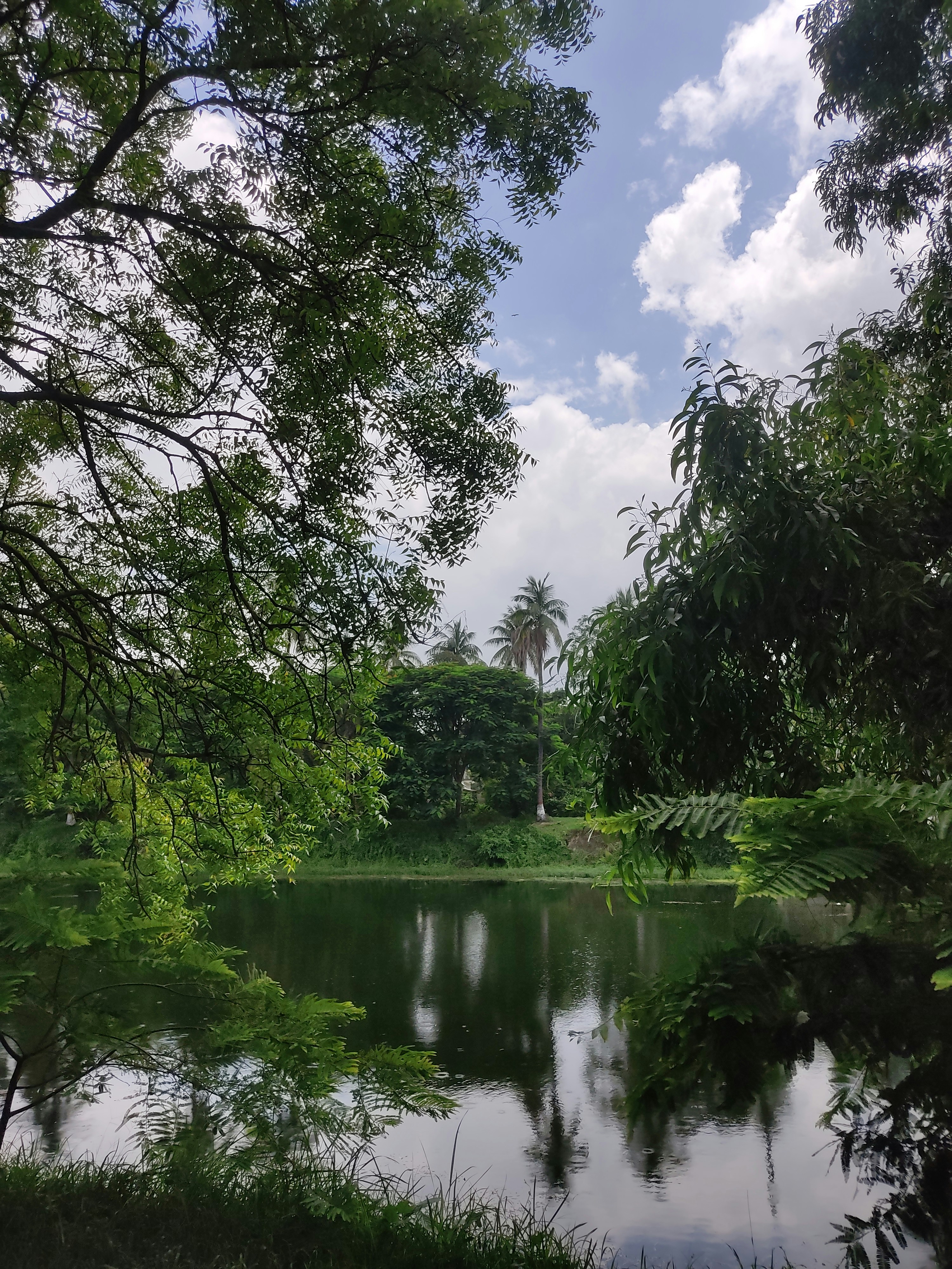 Photo by shejanmahamud