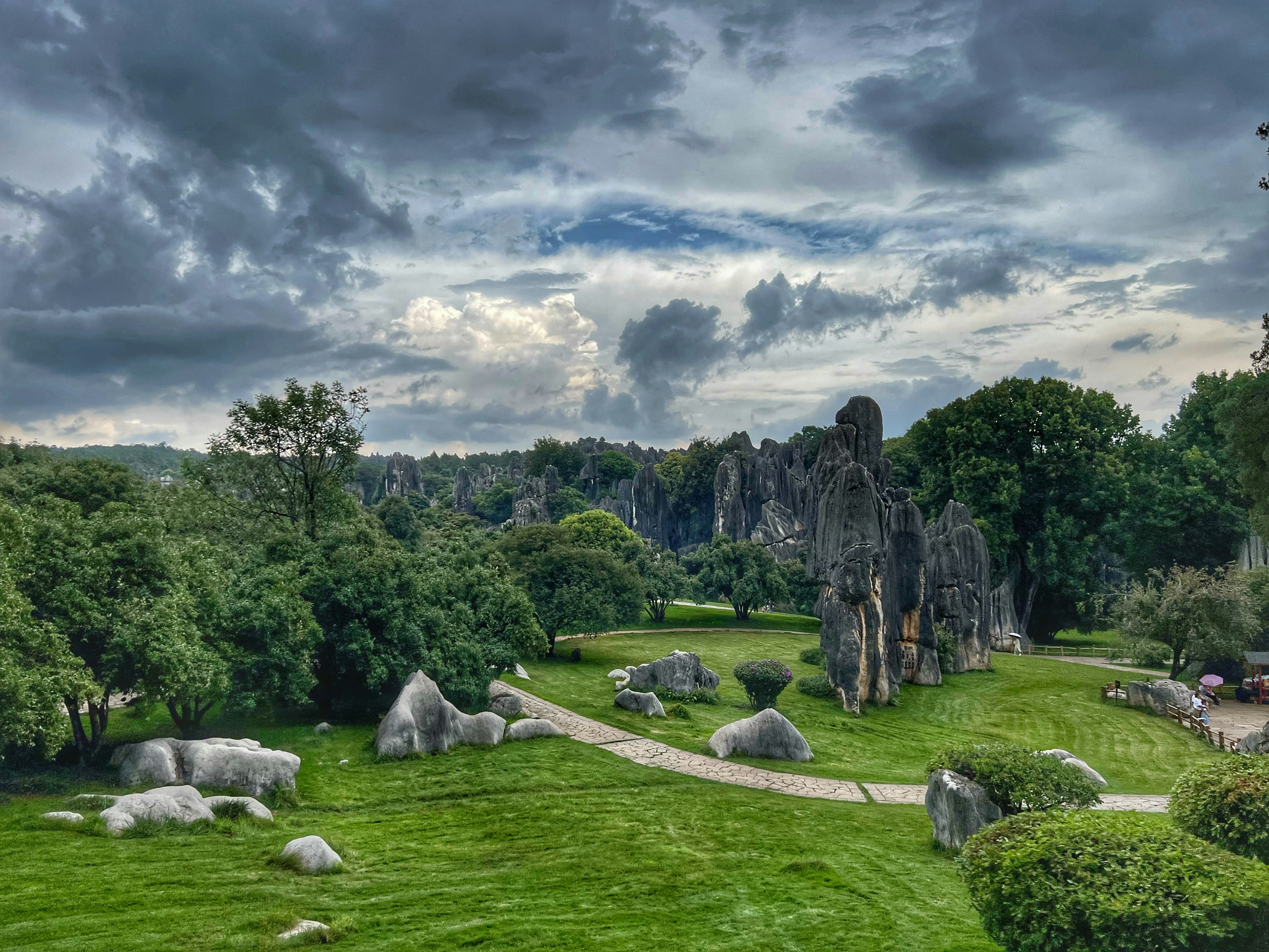 a lush green field covered in lots of rocks