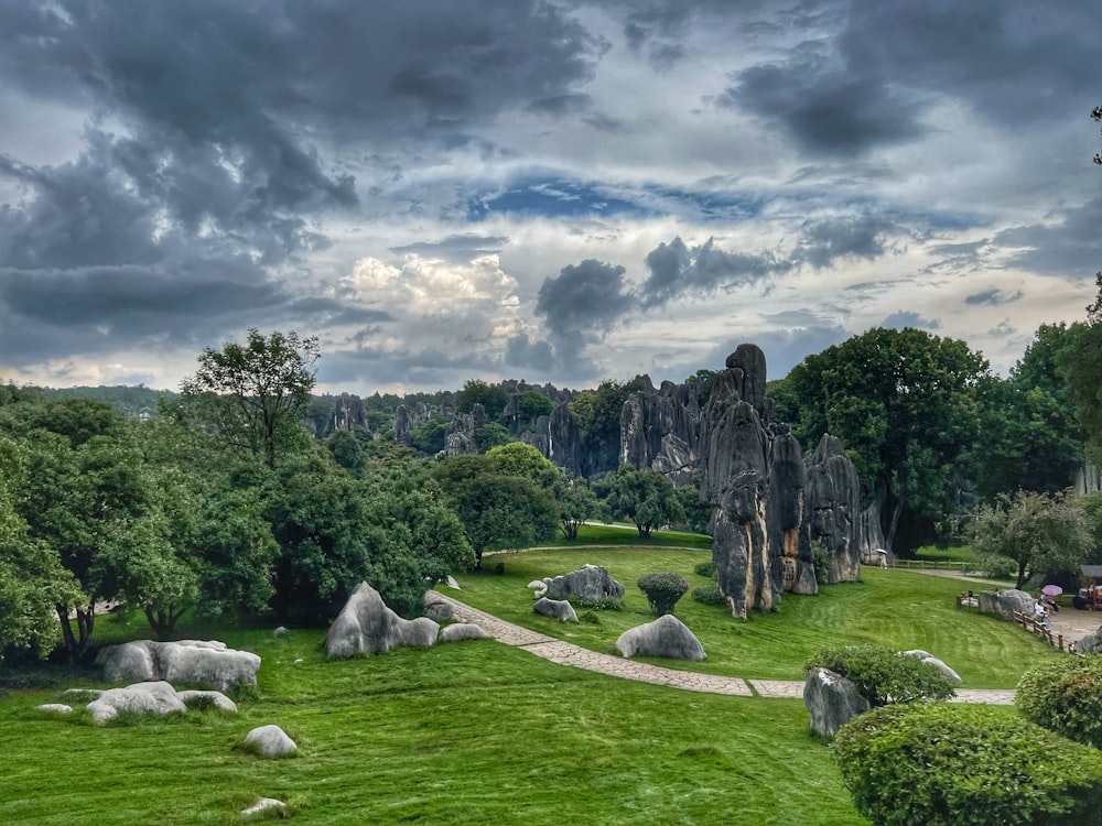 a lush green field covered in lots of rocks