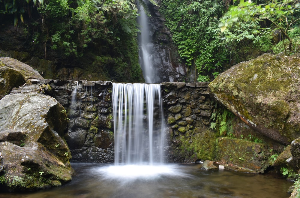 Una piccola cascata nel mezzo di una foresta