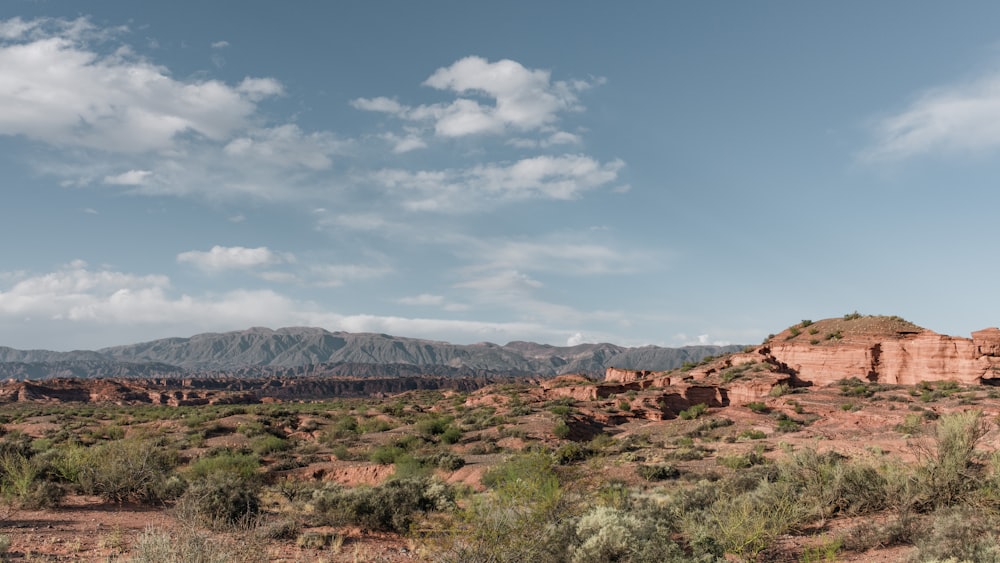 a desert landscape with mountains in the background