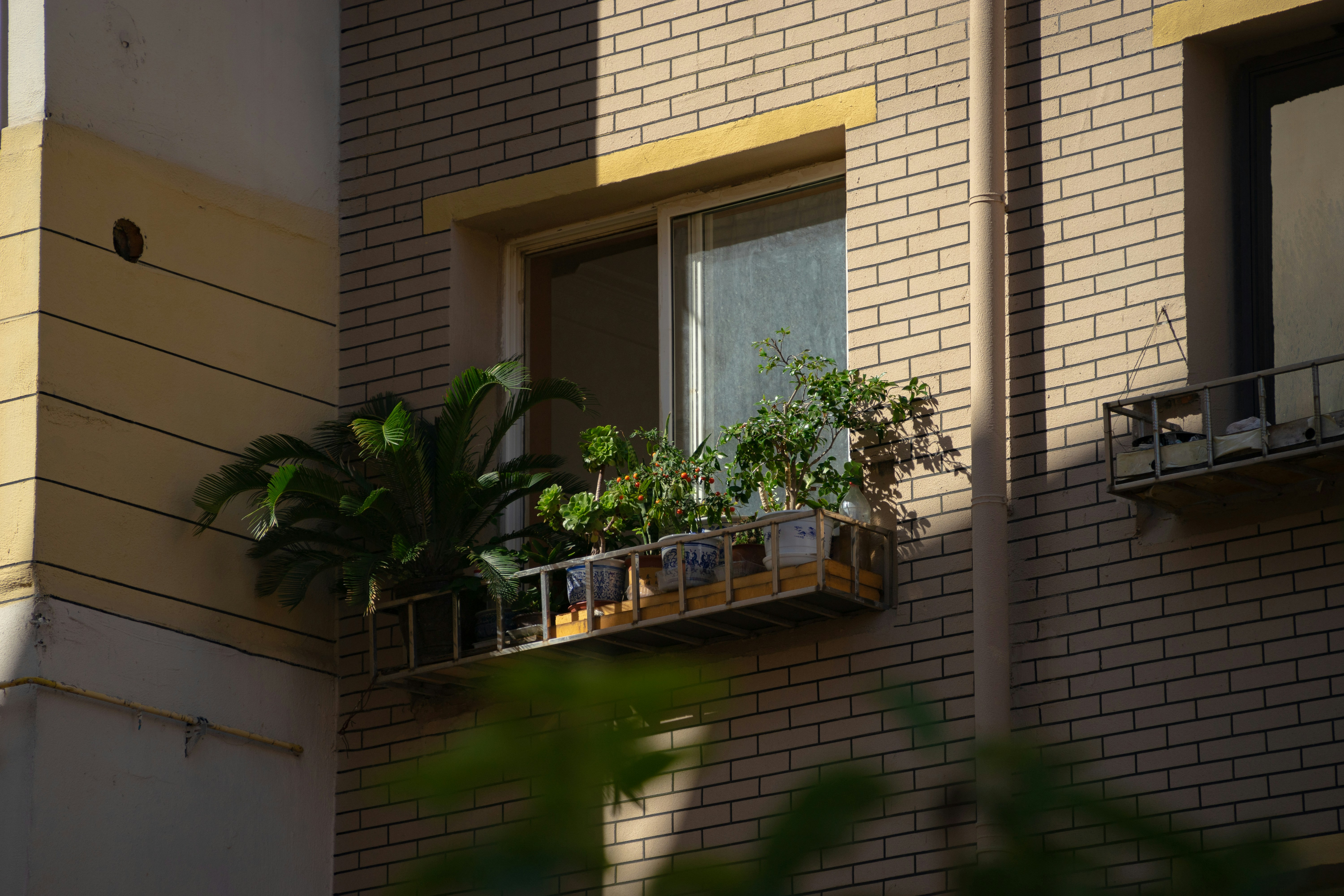 person enjoying coffee on a city apartment balcony with plants - apartment building with balconies