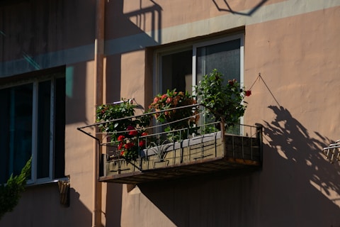 A small balcony attached to a weathered building facade is adorned with lush green plants and vibrant red flowers. The balcony is enclosed with a simple metal railing and casts a soft shadow on the sunlit wall. The adjacent window is partially open, revealing a curtain inside.