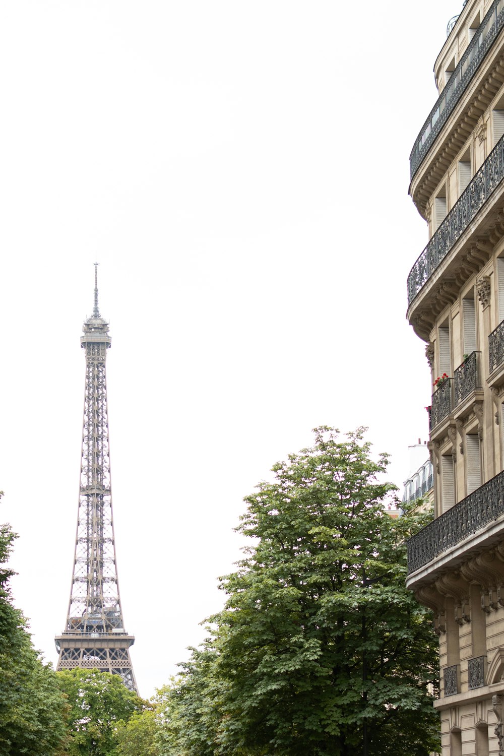 the eiffel tower towering over the city of paris