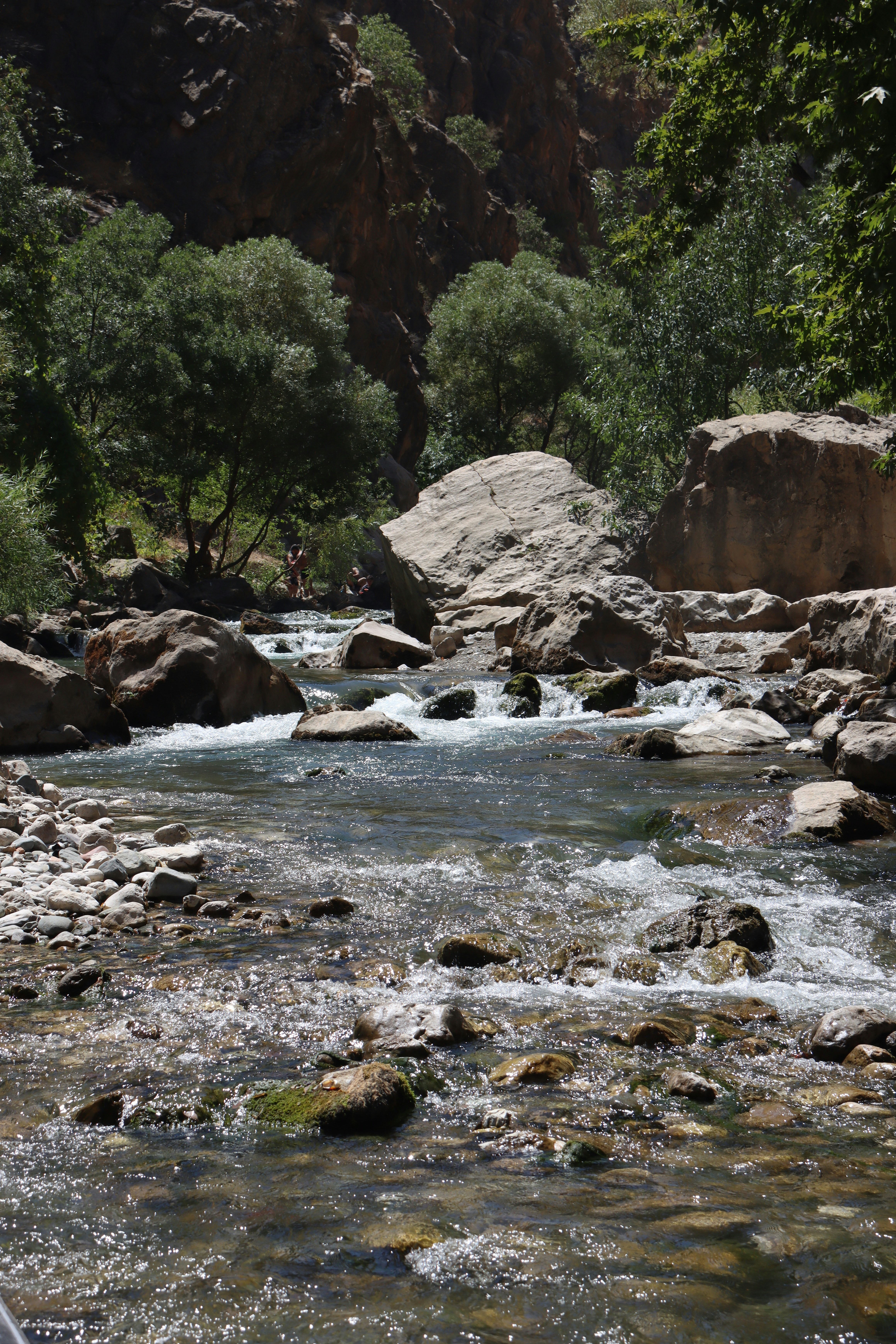 Photo by photo_graph_er