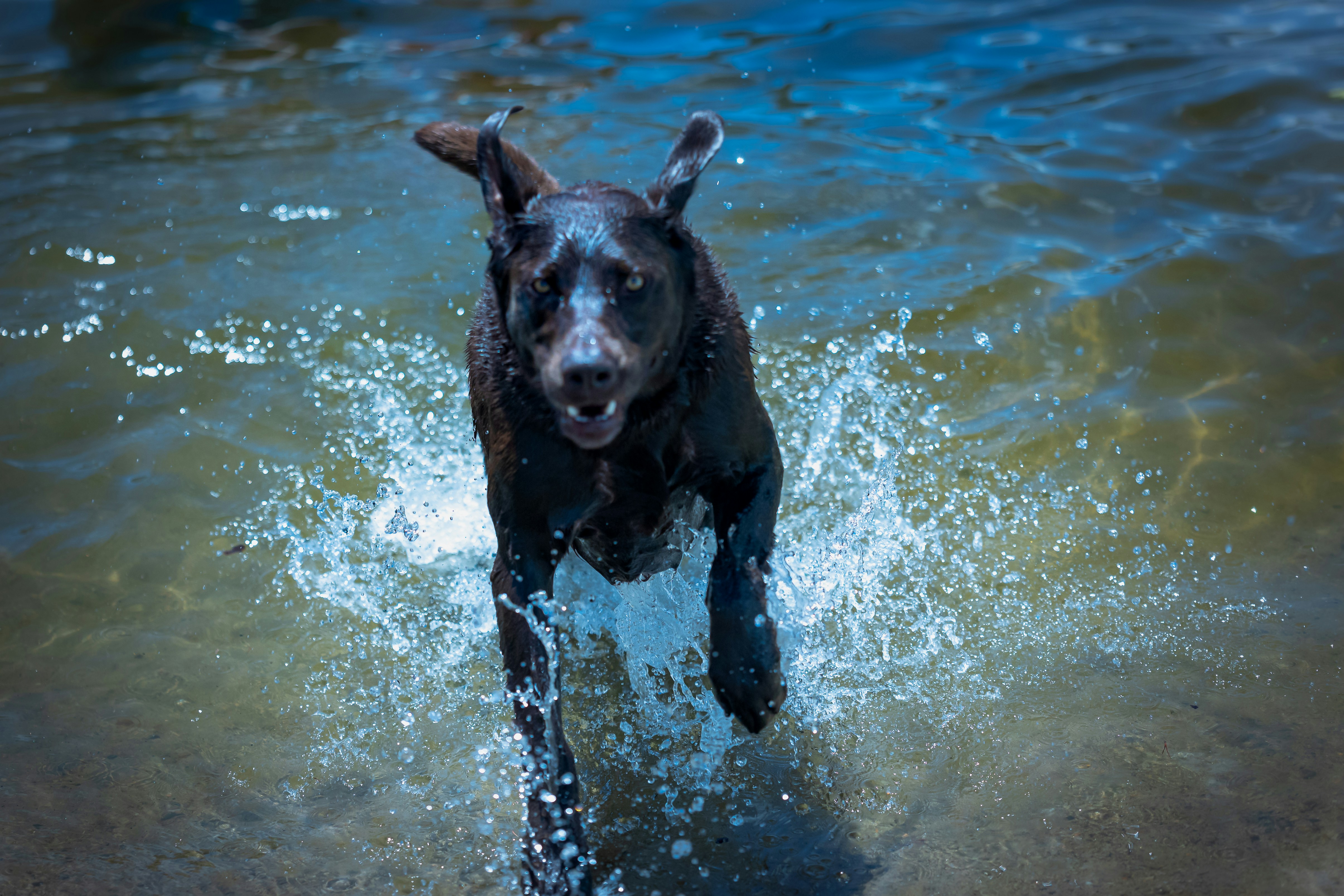 Photo by mizanchek07