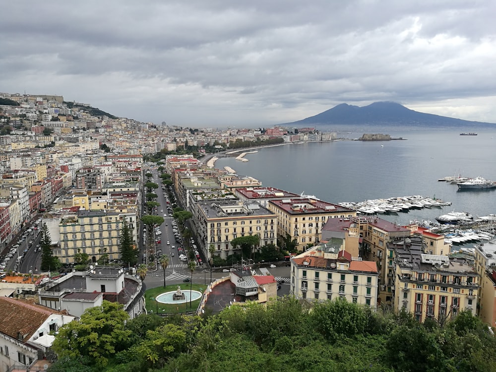 a view of a city with a mountain in the background