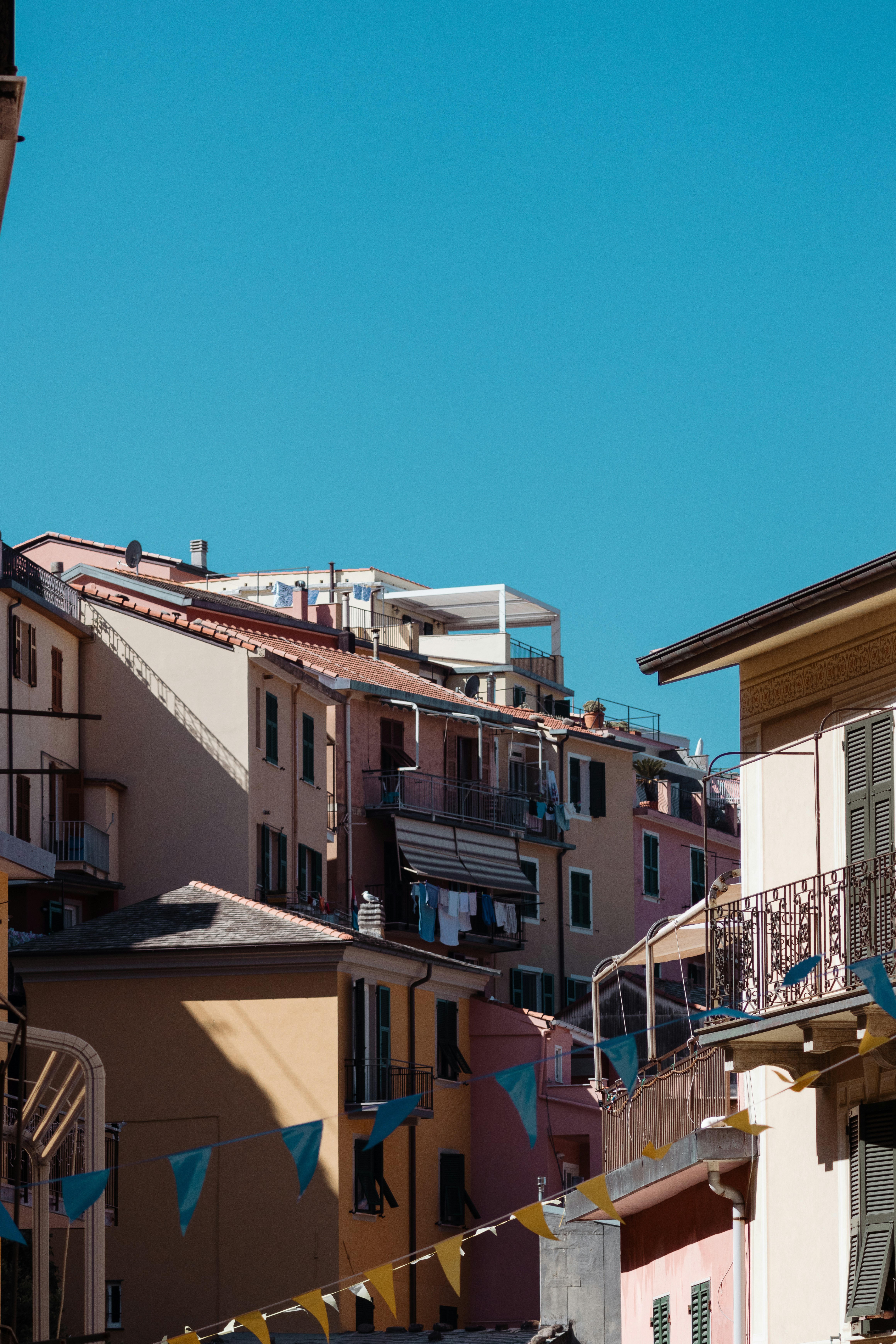 Photo by janisringli