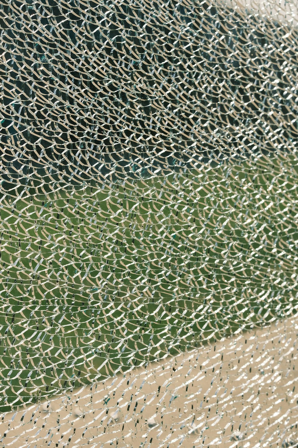 a bird flying over a patch of green grass