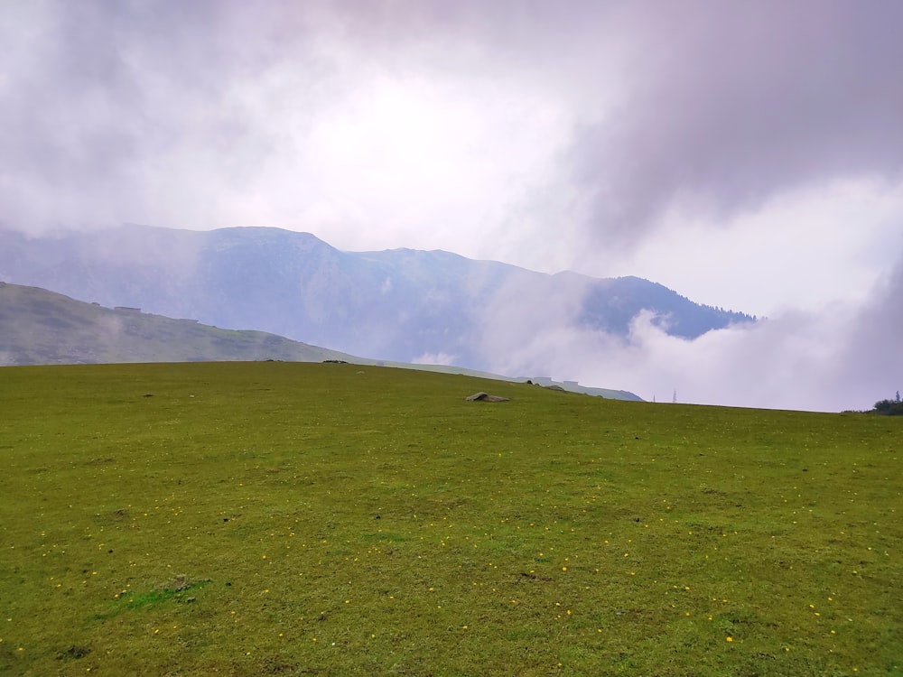 a grassy field with mountains in the background