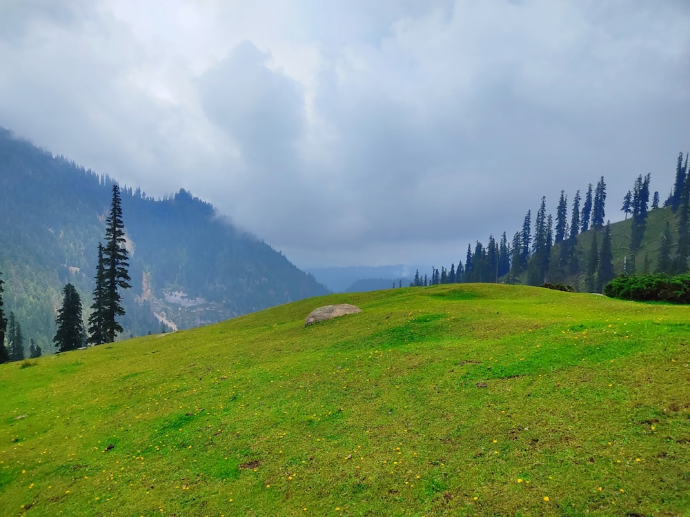 a lush green hillside with trees on a cloudy day