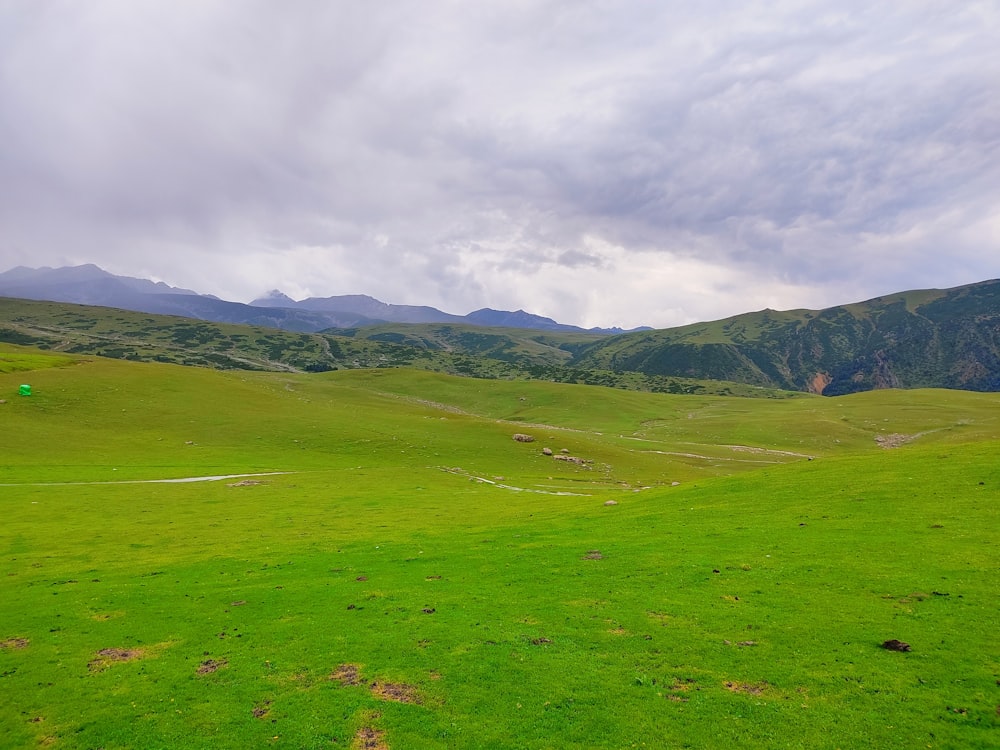 a green field with mountains in the background