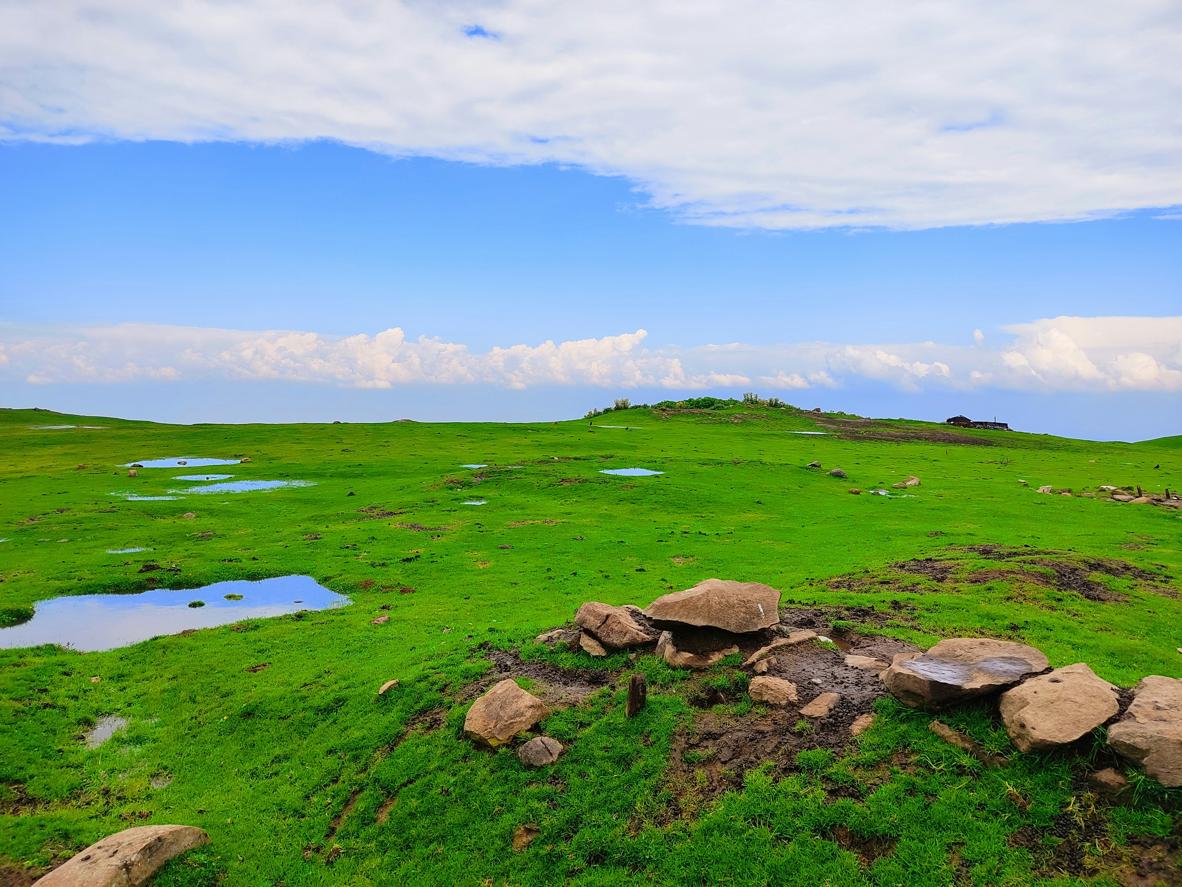 a grassy field with rocks in the middle of it